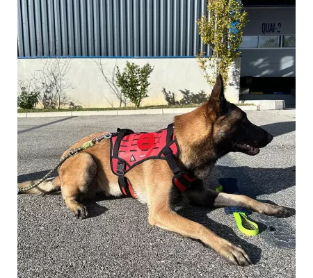 Harnais TRAK Rouge pour chien – Confort et sécurité