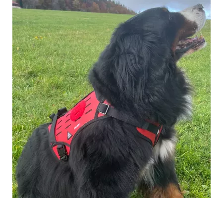 Harnais TRAK Rouge pour chien – Confort et sécurité