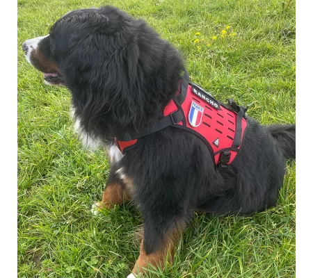 Harnais TRAK Rouge pour chien – Confort et sécurité