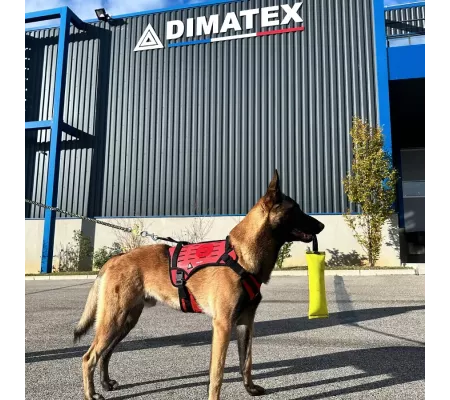 Harnais TRAK Rouge pour chien – Confort et sécurité