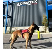 Harnais TRAK Rouge pour chien – Confort et sécurité