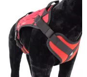 Harnais TRAK Rouge pour chien – Confort et sécurité