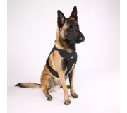 Harnais TRAK Noir pour chien – Confort et sécurité