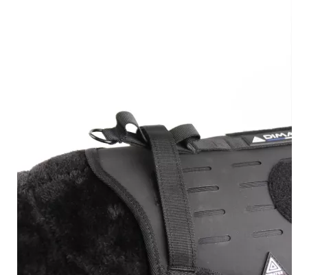 Harnais TRAK Noir pour chien – Confort et sécurité