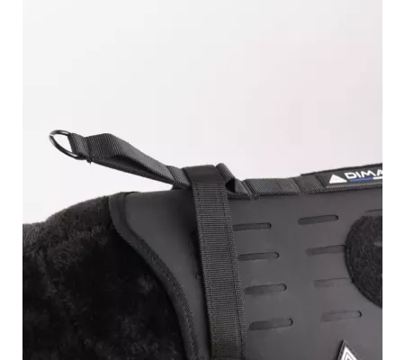 Harnais TRAK Noir pour chien – Confort et sécurité