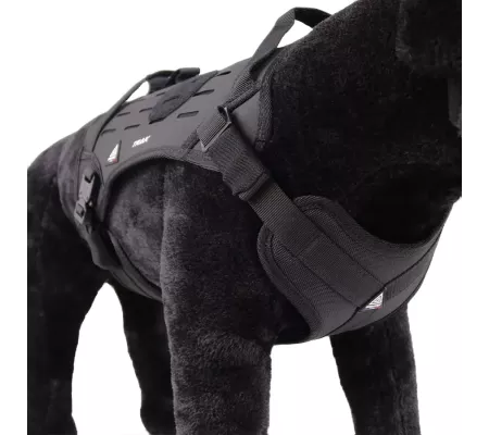 Harnais TRAK Noir pour chien – Confort et sécurité
