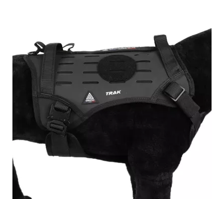 Harnais TRAK Noir pour chien – Confort et sécurité