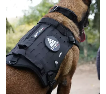 Harnais TRAK Noir pour chien – Confort et sécurité
