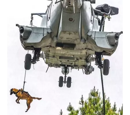 Harnais treuillable SALVATEX Rouge – Chien sécurité et performance