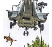 Harnais treuillable SALVATEX Rouge – Chien sécurité et performance