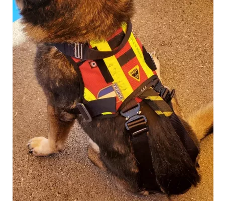Harnais treuillable SALVATEX Rouge – Chien sécurité et performance