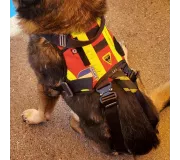 Harnais treuillable SALVATEX Rouge – Chien sécurité et performance