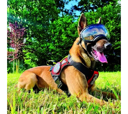 Harnais treuillable SALVATEX Rouge – Chien sécurité et performance