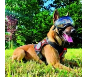 Harnais treuillable SALVATEX Rouge – Chien sécurité et performance