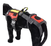 Harnais treuillable SALVATEX Rouge – Chien sécurité et performance