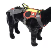 Harnais treuillable SALVATEX Rouge – Chien sécurité et performance