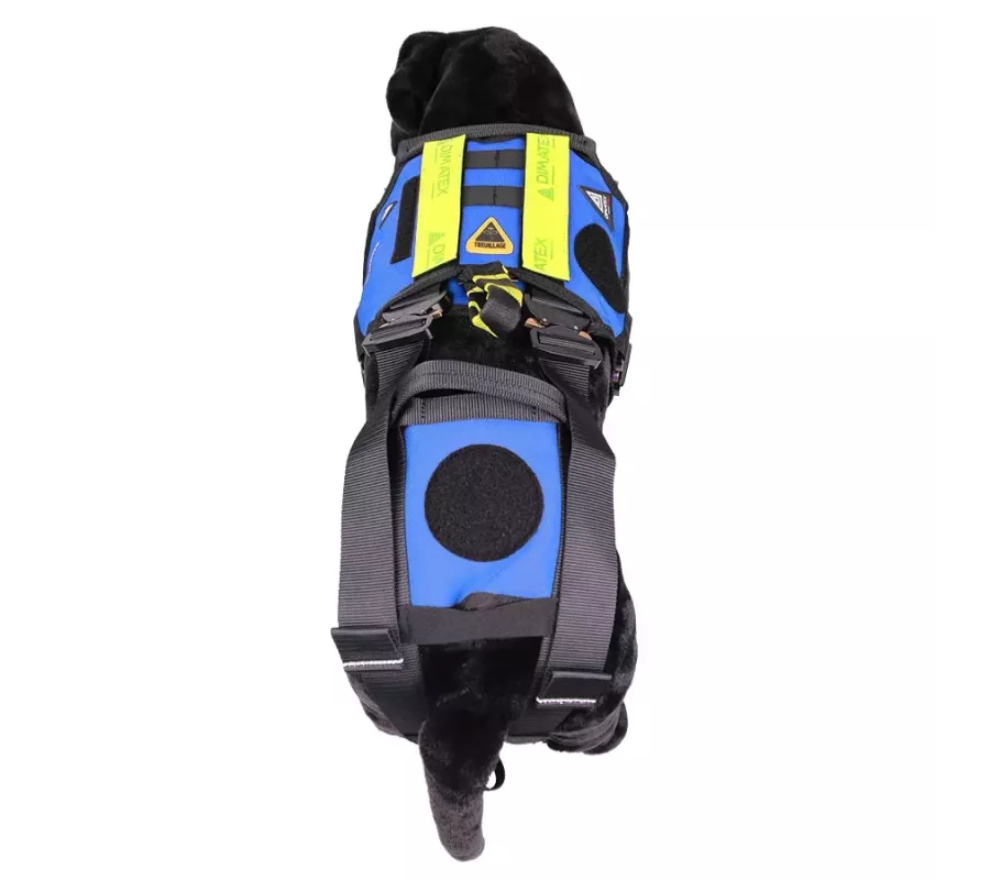 Harnais treuillable SALVATEX Bleu – Chien sécurité et performance