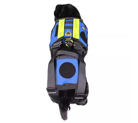 Harnais treuillable SALVATEX Bleu – Chien sécurité et performance