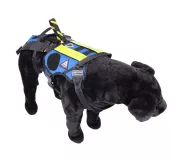 Harnais treuillable SALVATEX Bleu – Chien sécurité et performance
