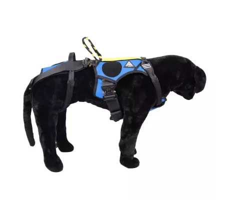 Harnais treuillable SALVATEX Bleu – Chien sécurité et performance