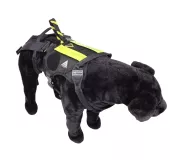 Harnais treuillable SALVATEX Noir – Chien sécurité et performance