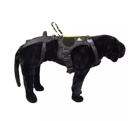 Harnais treuillable SALVATEX Noir – Chien sécurité et performance