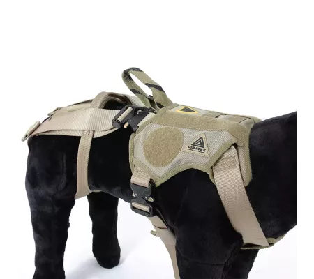 Harnais treuillable SALVATEX Coyote – Chien sécurité et performance