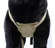 Harnais treuillable SALVATEX Coyote – Chien sécurité et performance