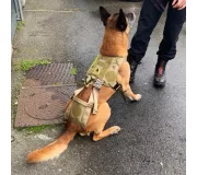 Harnais treuillable SALVATEX Coyote – Chien sécurité et performance