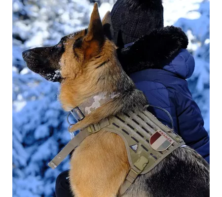 Arnés DRAKKEN ASSAULT Tan – Perro de búsqueda y rescate