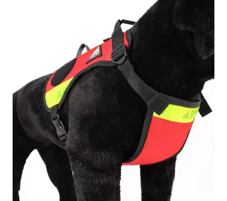 Arnés DRAKKEN 3 Rojo – Perro seguridad y confort