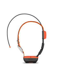 Pack GPS Garmin Alpha 10 T 20 - versión F | XS Equipament